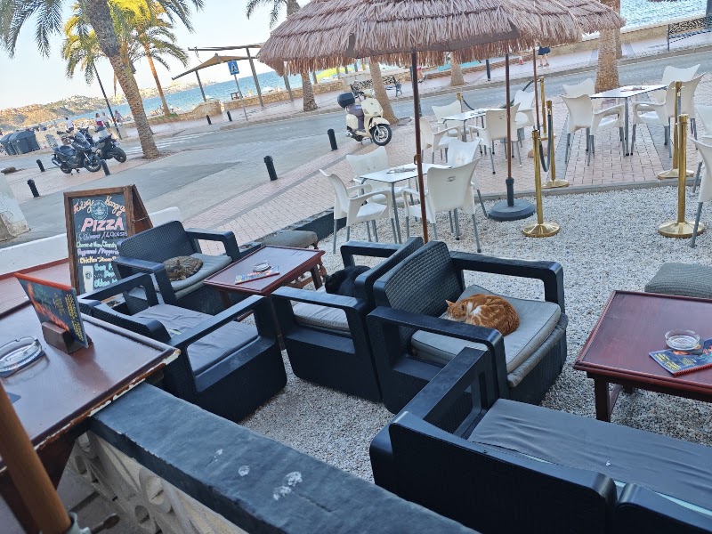 The Carribbean Bar in Fuengirola, photo 5