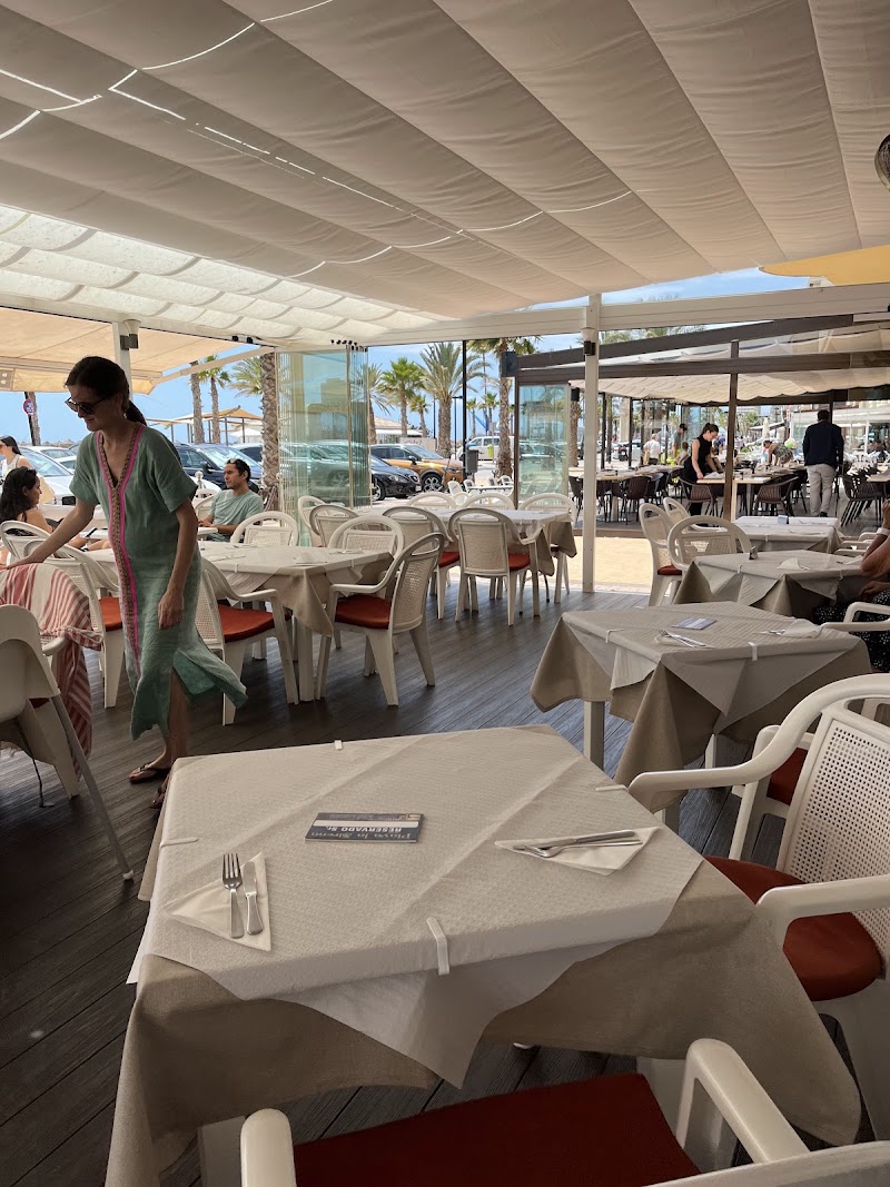 Cosmopolita in Fuengirola