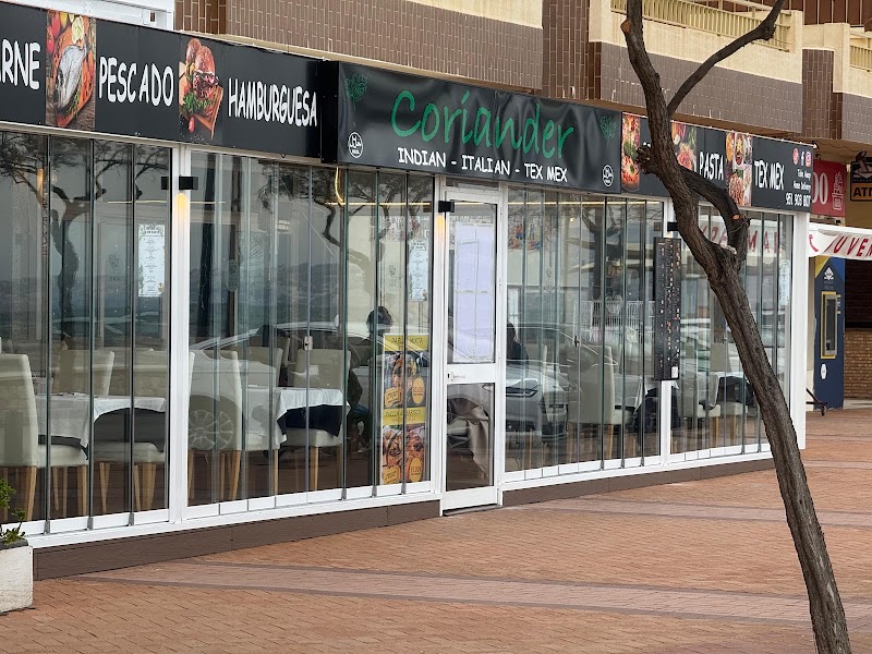 Coriander in Fuengirola