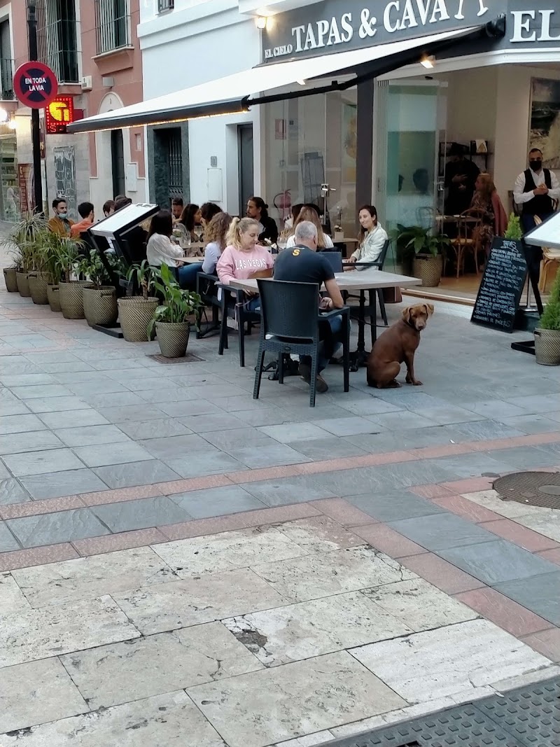 El Cielo Tapas & Cava in Fuengirola